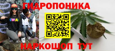jwh Моздок