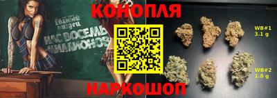 jwh Моздок